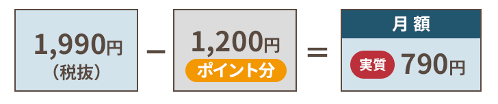 月々の料金