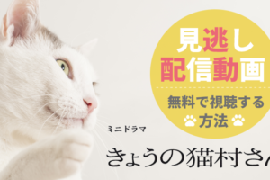 「きょうの猫村さん」の見逃し配信動画を無料で視聴する方法！